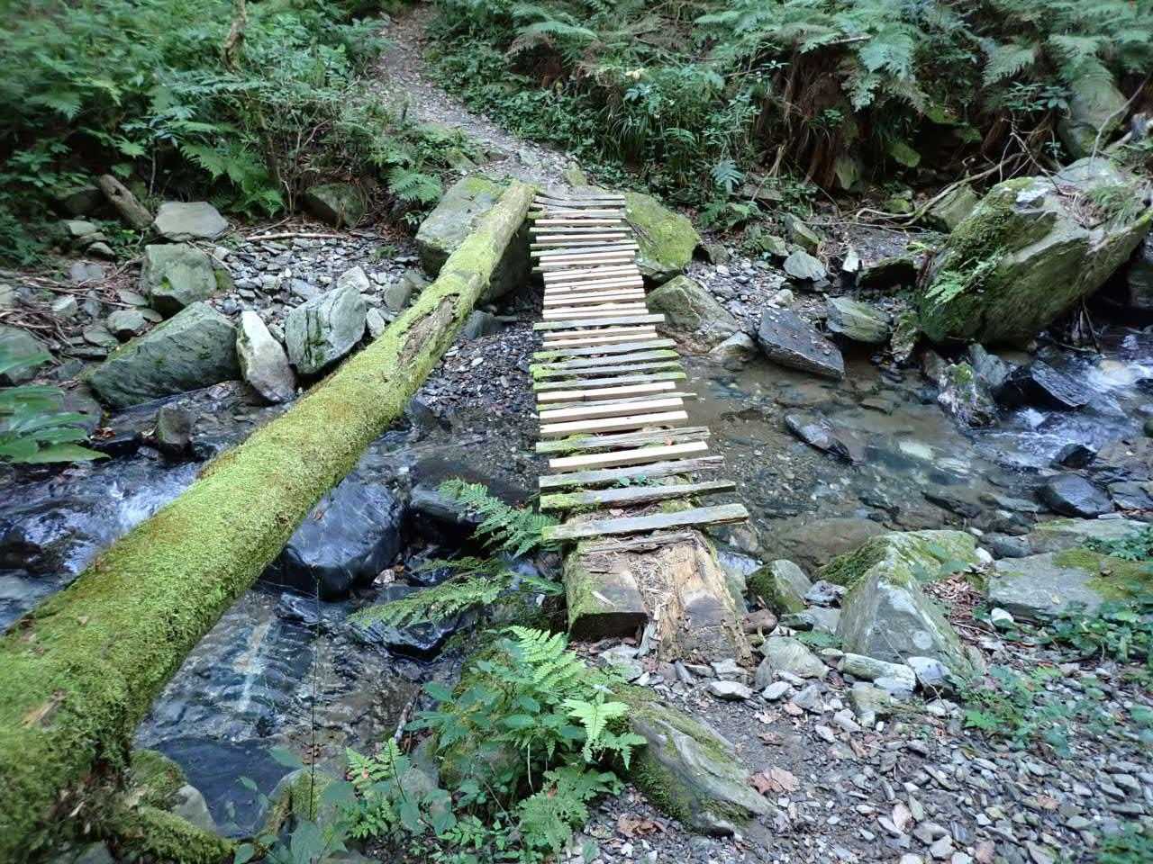 瑞梅寺登山口-井原山-水無登山口 周回コースの写真