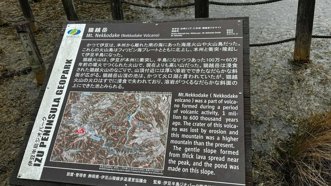 伊豆山陵線トレイル（三蓋山・水呑頭・猫越岳・後藤山・魂の山・棚場山・伽藍山・古稀山・達磨山・小達磨山） の写真 29
