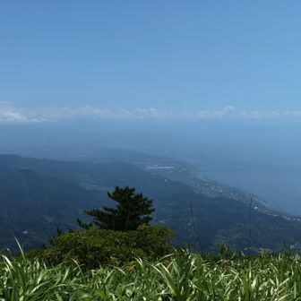 桜エビで有名な駿河湾と由比