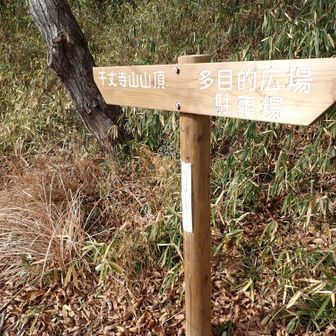 道標も良く整備