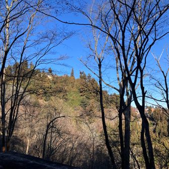 長尾平戻りに神社と集落が見えます