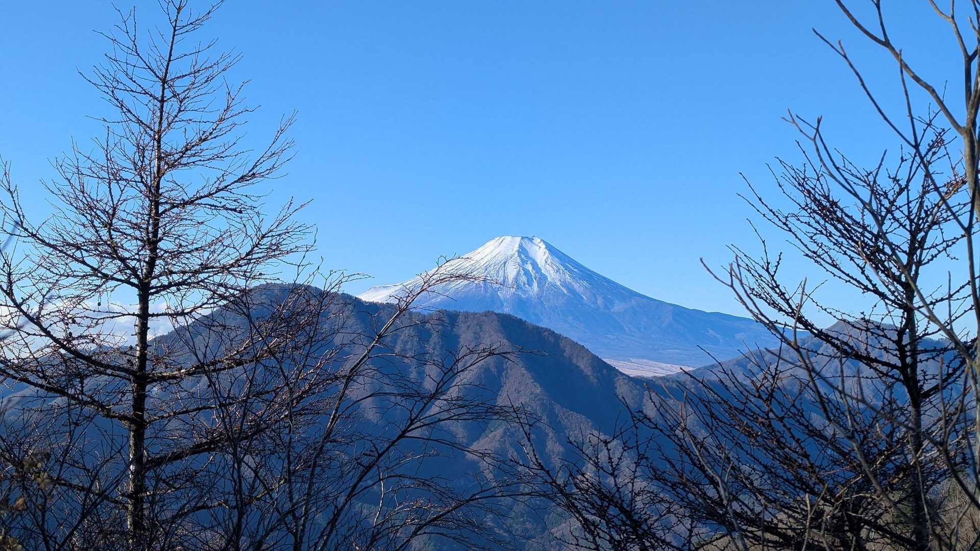 富士山がきれいに見えるところがありました@御座入山〜西ヶ原
足元ばかり見てると見逃します
実は私は足元見てたのですが先行者の踏み跡に違和感があって見上げたら気付きました
ラッキー😁