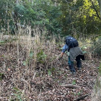 ショートカット中。