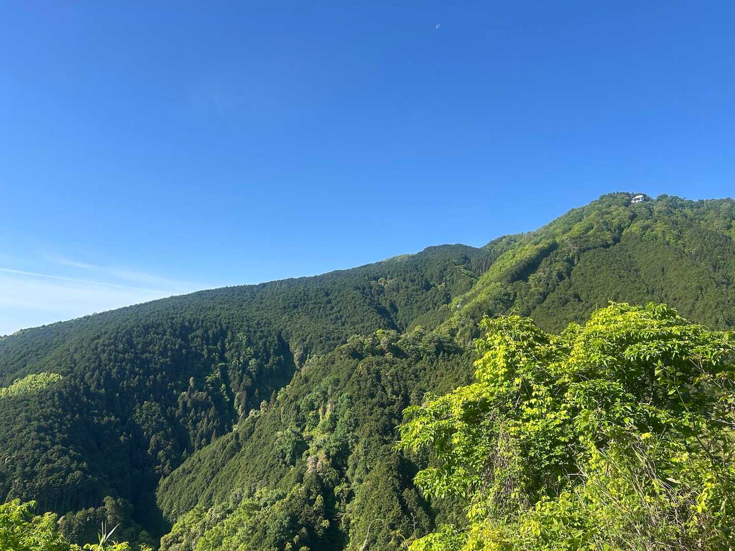 いい天気☀️