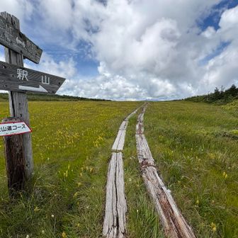 さらに登ると山上の湿原に至る