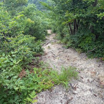 なんか軽く登れるのに充実感があるお山です😊