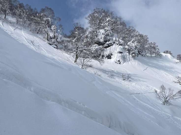 タケノコ山（北海道） | YAMAP / ヤマップ