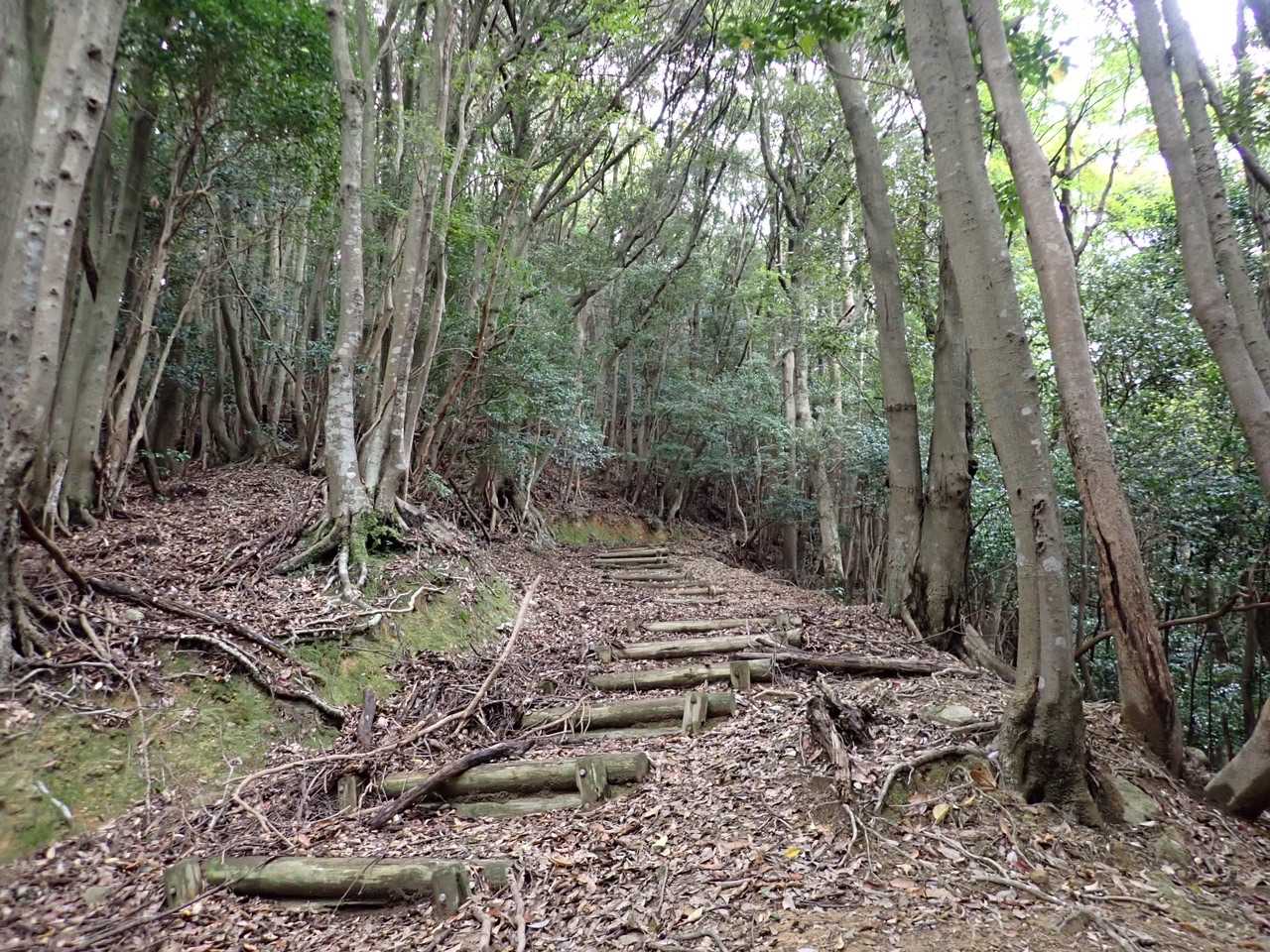 長い木階段が続きます