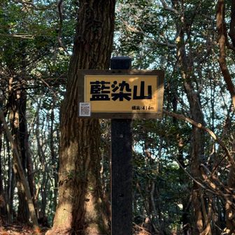 藍染山山頂に到着しました