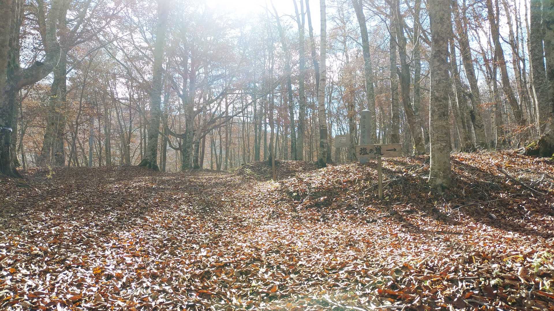 🍂🍂🍂の音が響きます