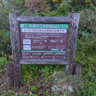 午前３時に富山を🚗で出発し、小赤沢三合目登山口からGO🥾