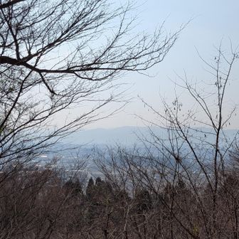天気は良いが東根山はぼんやり花粉？黄砂？残念😞