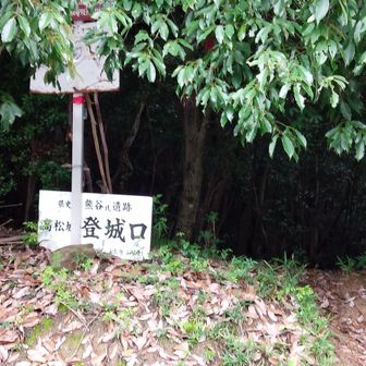下山します。リーダーさんより「昨日の雨で滑りやすくなっています。
急なところがあります。気をつけて下りましょう！」とお話し。

下山完了。　　　　　　　　　　　　　　　　　　　　　　　　　　　　　　　　　　　　　　　　　
途中まで、ほんとに激下りでした。