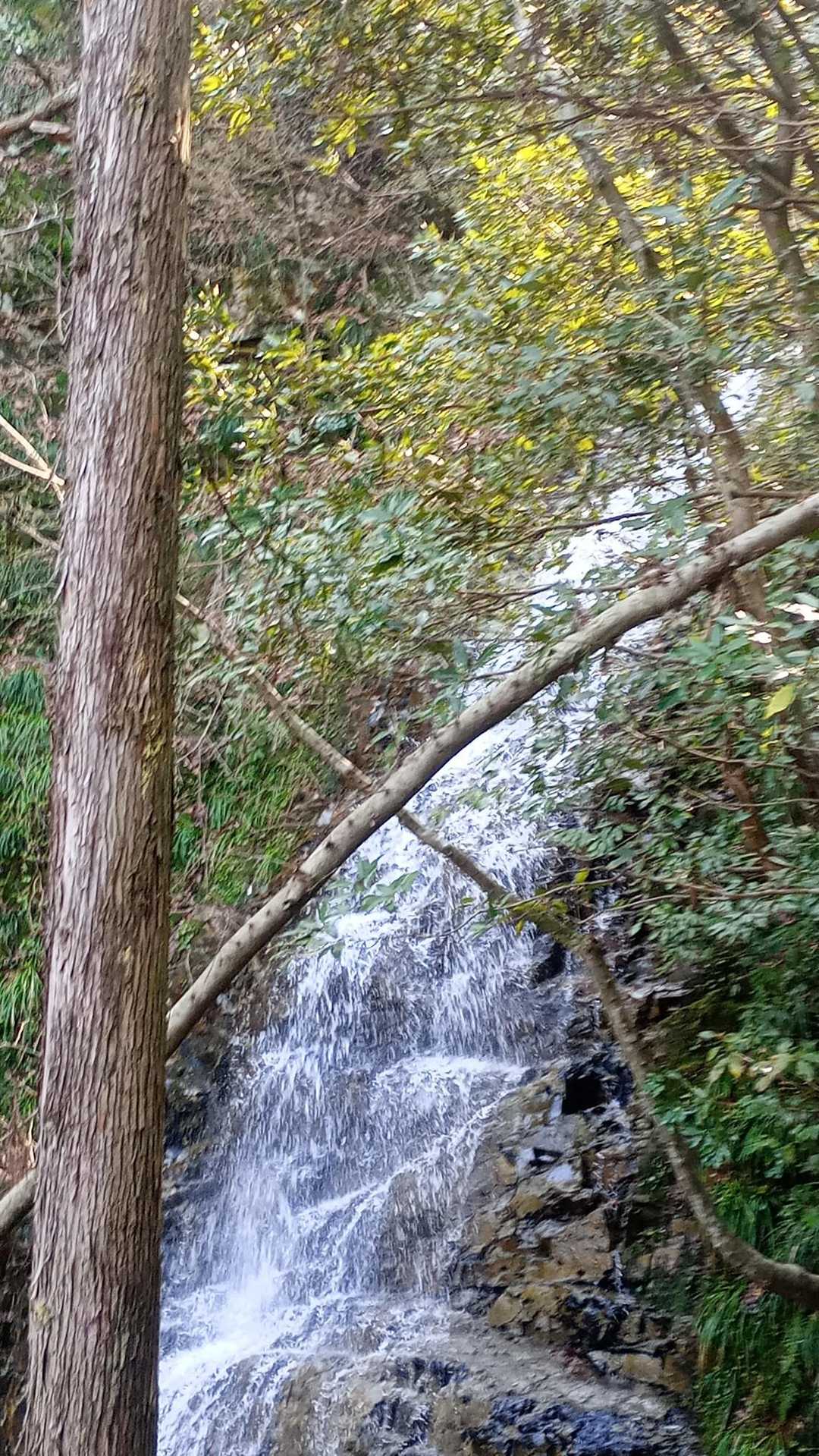 大滝
遠巻きに眺めます
近寄れるのかな？
