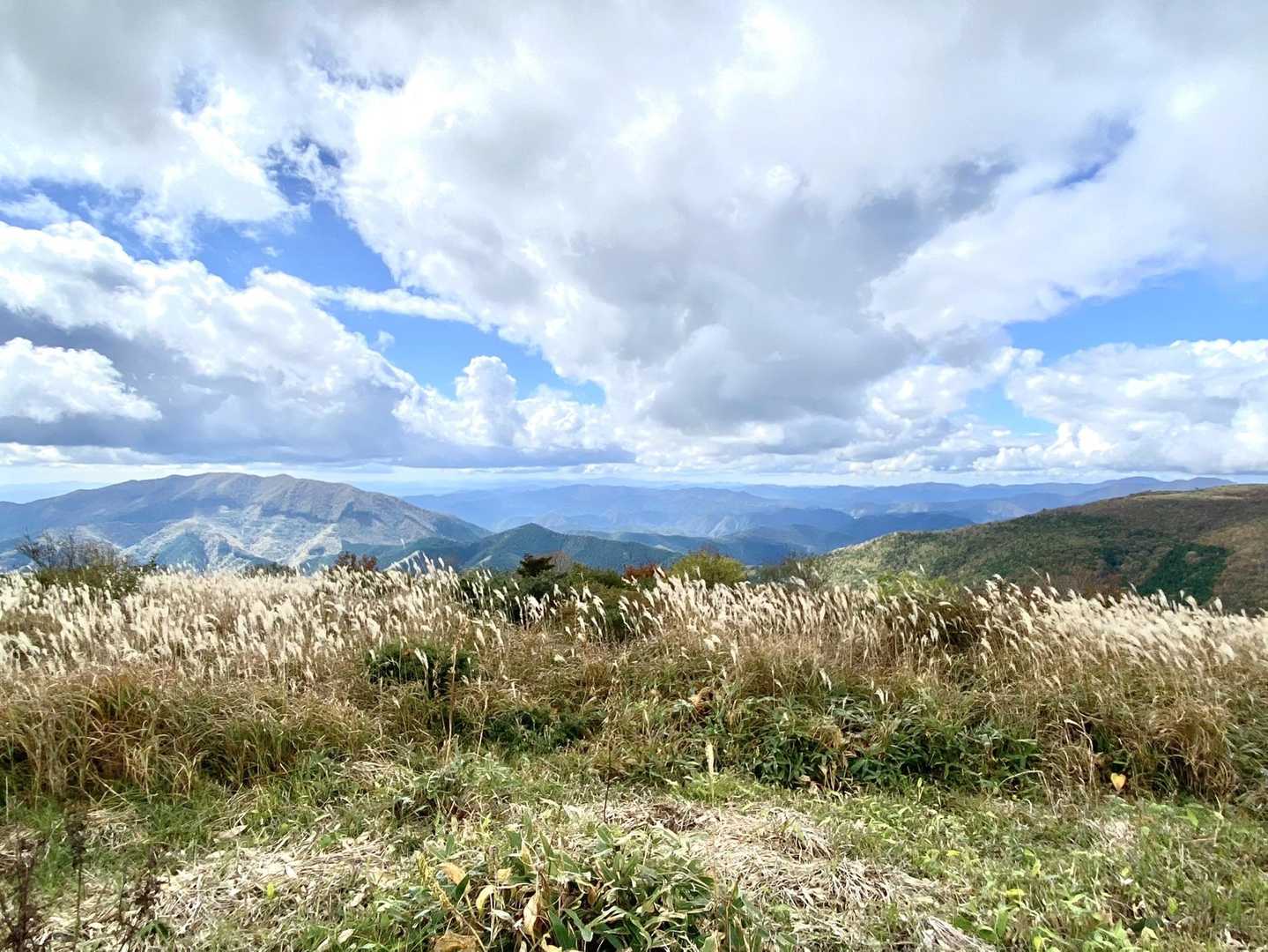 山頂は広くてススキ🌾が綺麗✨
