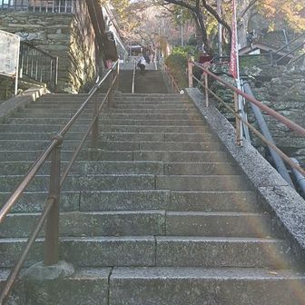 ここも長い石段を登ります😆
ケーブルカーや途中からはエレベーターもあり（もちろん使いませんが）。