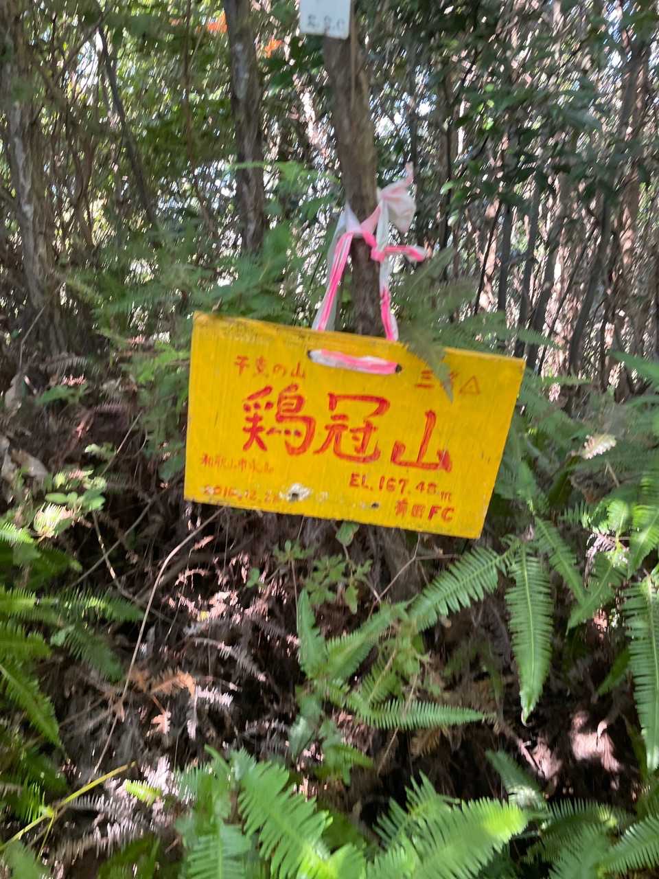 すぐに鶏冠山てっぺん