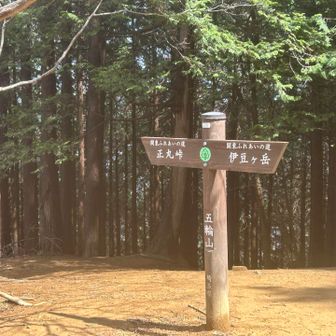 ここからは10㌖の稜線をいきます。