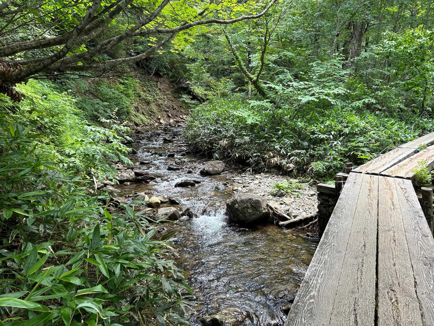 川沿い通ると更に涼しく感じ、
ベンチではいつも以上に休憩です。

そうです、楽しい時間引き延ばし

最後は日帰り温泉ぷらり館に寄って
楽しい時間の終わりが近づいてくるようです