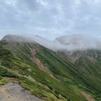 五竜岳がベールに包まれている

今回、五竜岳に登頂できず
思った以上に脚がお疲れ。長い遠見尾根を考えると、なによりも無事に下山が大切と心の声

朝の山頂は、すっきりと晴れて、絶景を堪能できたそう。この目で見たかったけど、チャンスがまたあるかもしれない…ないかもしれない…

娘が撮った臨場感いっぱいの山頂の写真を見るうちに、なんだかこの目で見たような気がしてきた…ほくほくと感動、なんだろうこの満足感