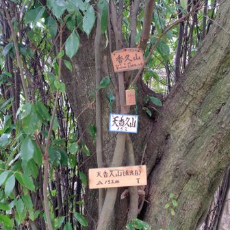 ほどなく山頂に、二山登頂☺️