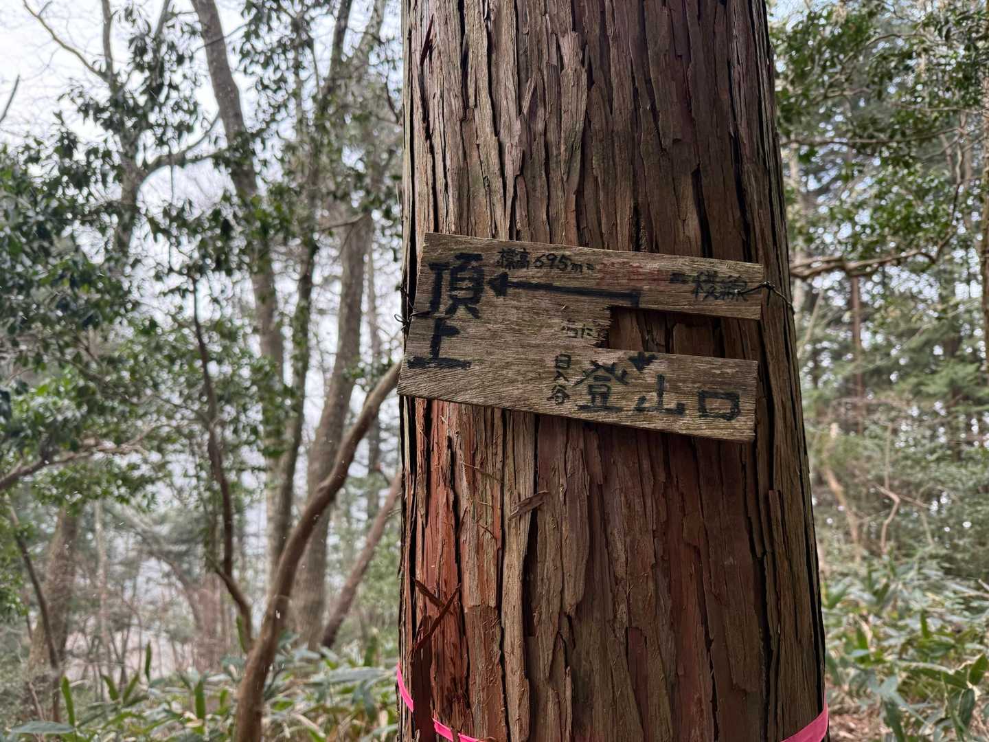 稜線に出ると雪が強く