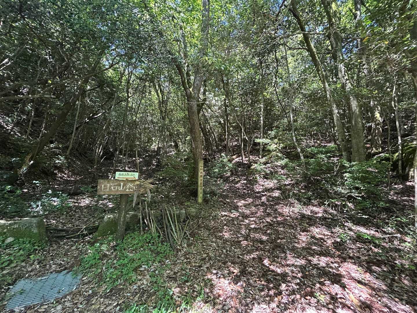すぐに登山口