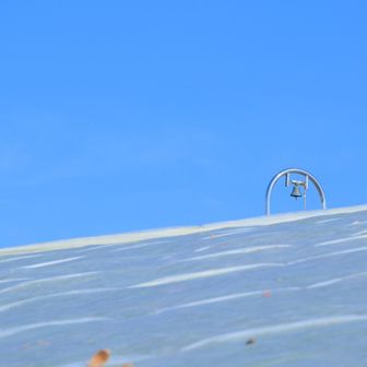 春にはここ一面ネモフィラの青に🟦なります