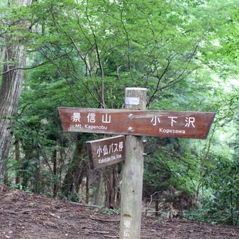 分岐に到着