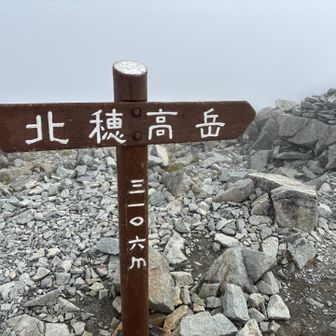 ガスってきました。
サクッと進み涸沢へ。