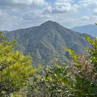 西目山から右田ヶ岳を望む