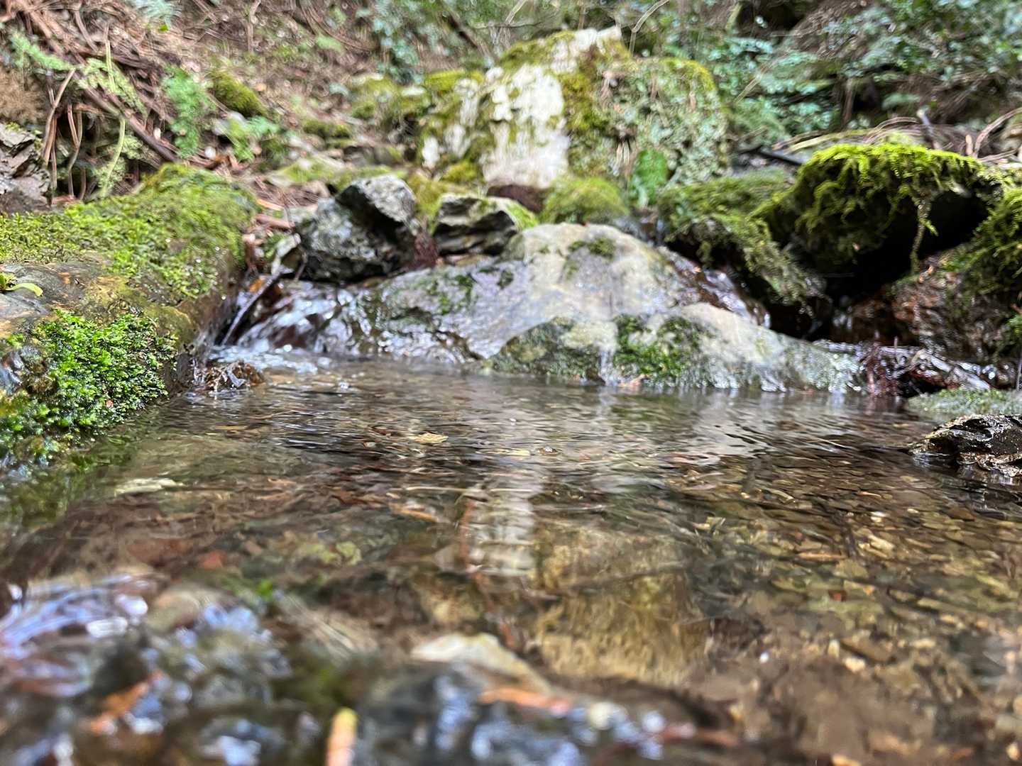 相戸岳 周回コースの写真