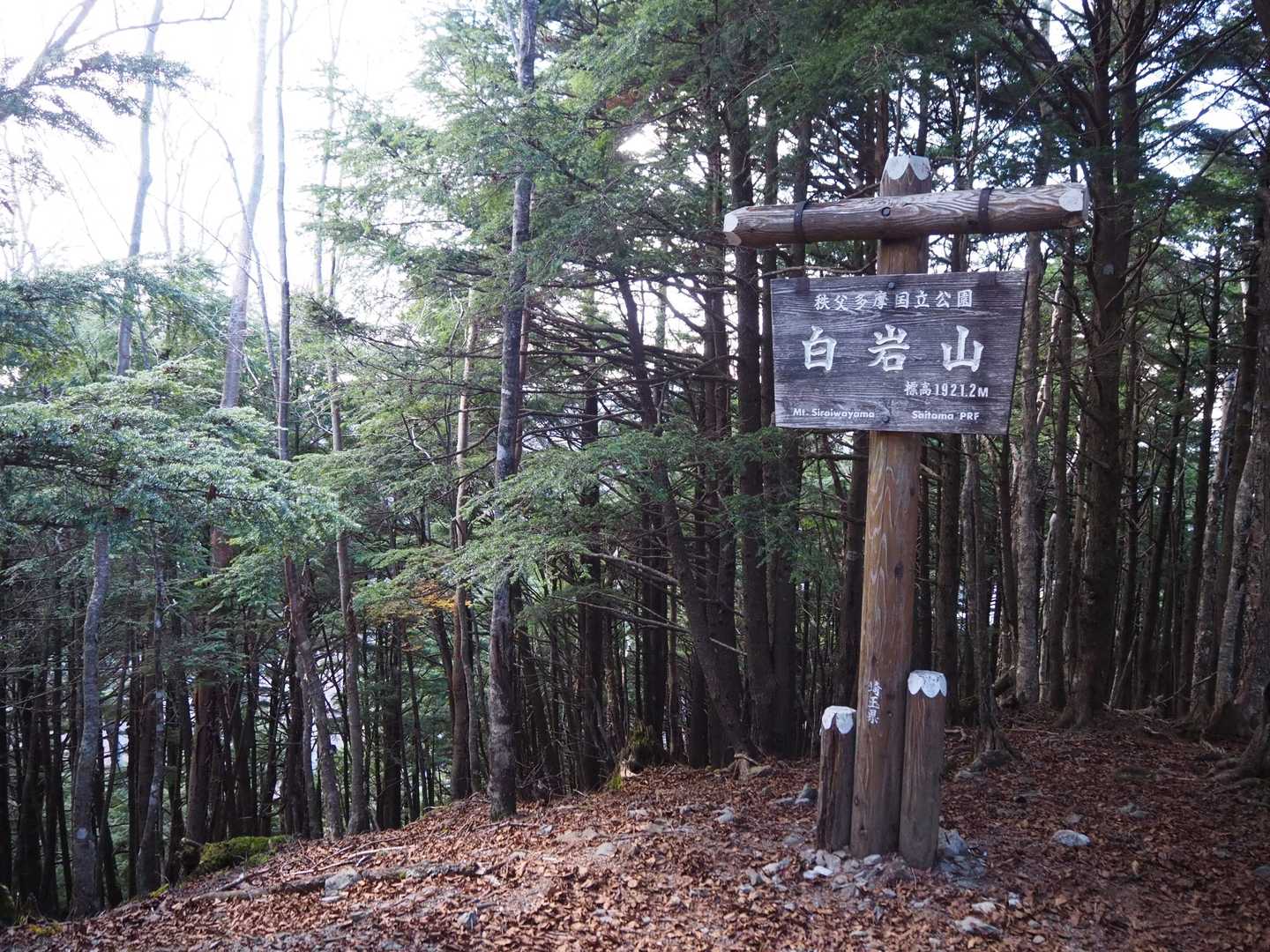 ようやく白岩山