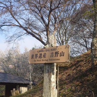 これは世界遺産ですわ