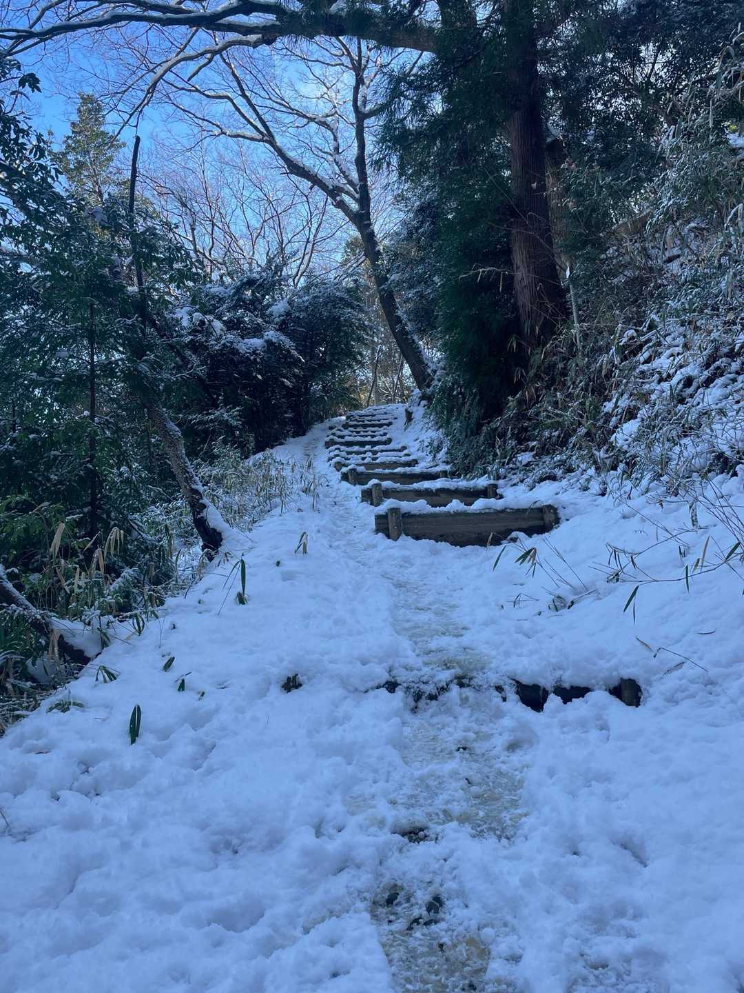 羽沢 往復コースの写真