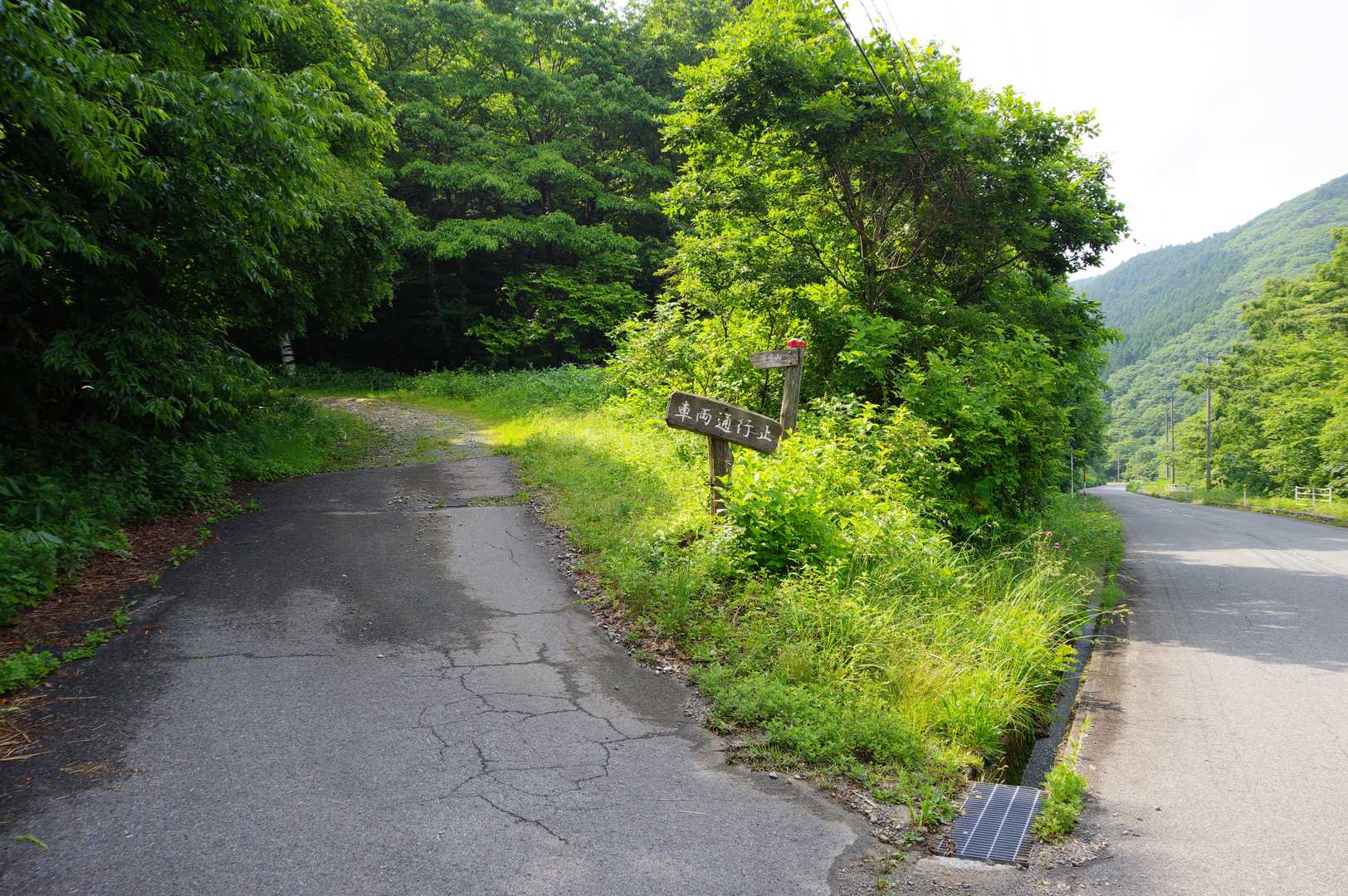 公園センターから少し県道へ戻って牛曳山登山口へ。比婆山系には何回か来てるけどこっち方面に来るのははじめて