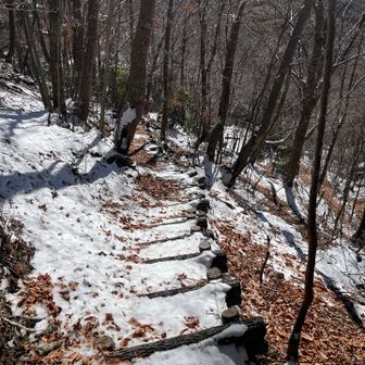 何気に本山行の最恐エリア。雪と枯葉で滑り倍増。