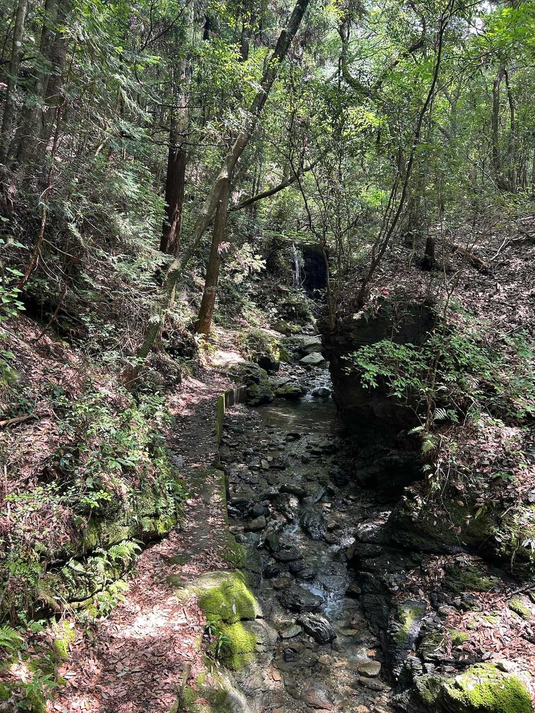 まずは養命の滝へ行ってみます！