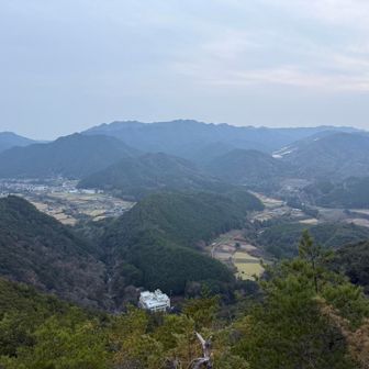 月見亭から日根野荘