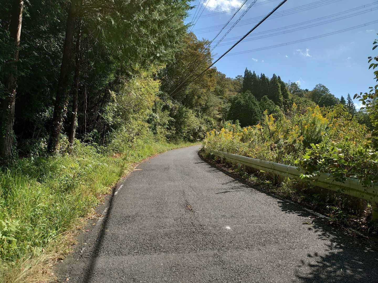 蚕霊山 往復コースの写真