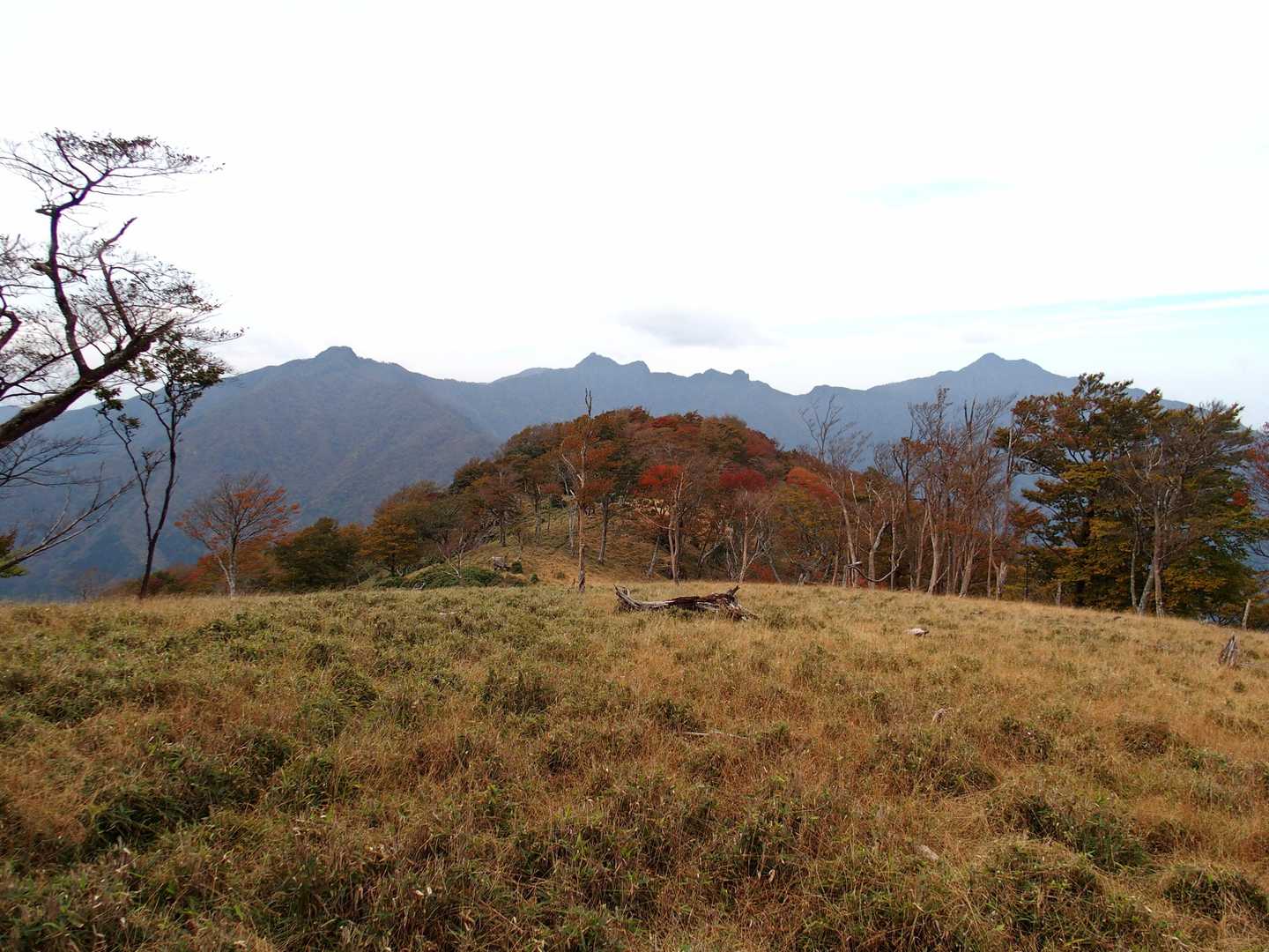うひょーーここが1番！
左から古祖母、烏帽子岩、天狗岩に右端が祖母山やな✨
にしても…青空くれよ💢