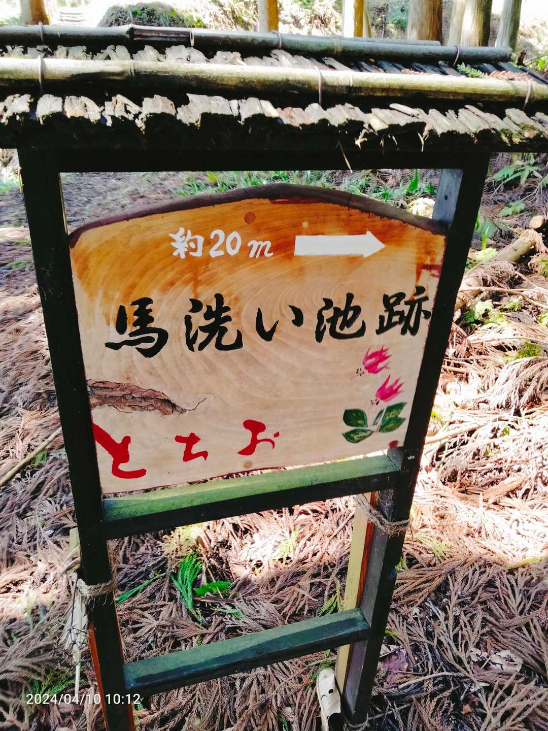 栃尾城跡　岩の鼻口-鶴城山-栃尾城跡　岩神口 往復コースの写真