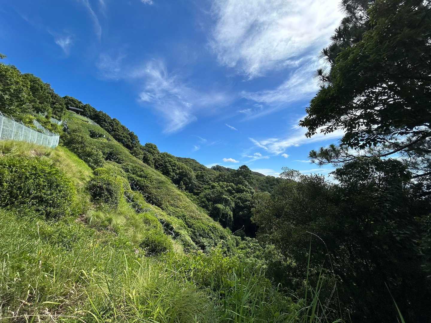 錨山　
皆さんの言う通り近くでは分かりにくいね😅