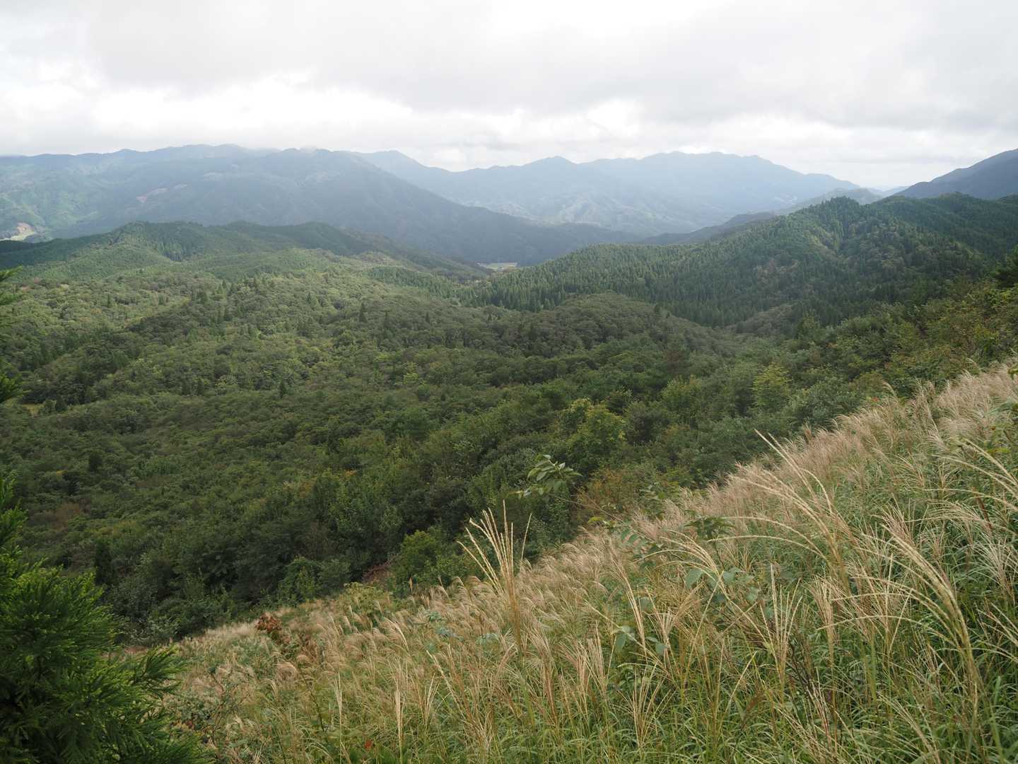 此方は一応、泉山まで見えています。😎