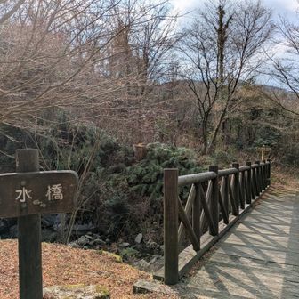 YAMAP上ではこの先も車道を歩く。んーそれは面白くない😒この橋渡って進めないかな？って思って進んじゃいました😅
結論、僕は楽しかったけど、一般的にはお勧めしません😅