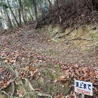 ひたすら登りでやっとのこり100m💦