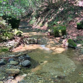 何度か川を渡りました