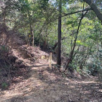 登山口に無事帰着
前回訪れた後に残ったモヤモヤ感は無事に晴れました
ありがとうございました