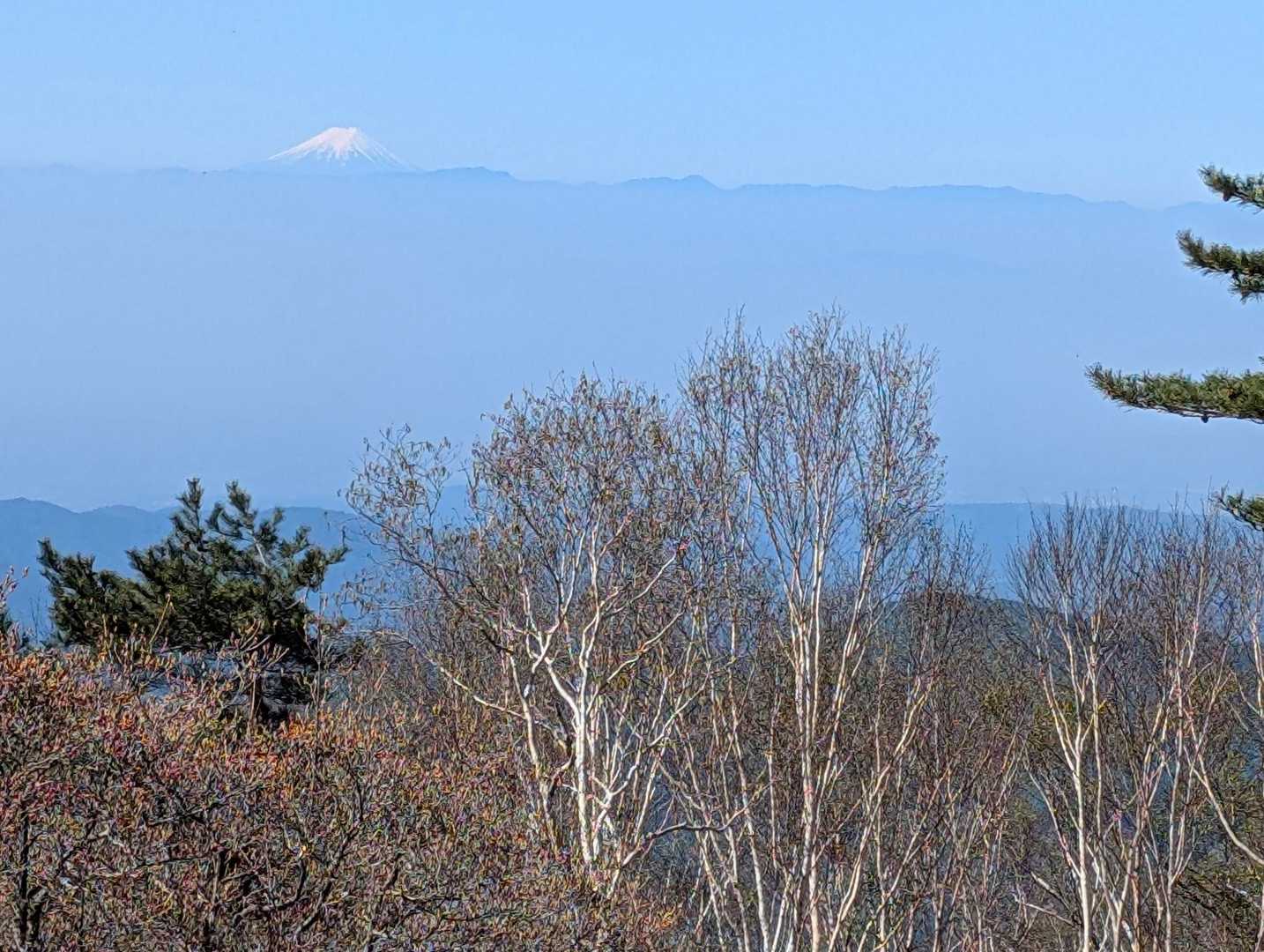 富士山
