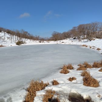 小女郎ケ池
ぱっと見、凍ってる。